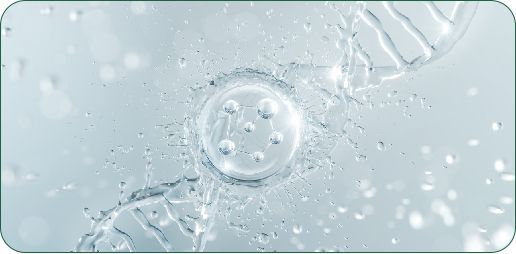 รูปที่ 4